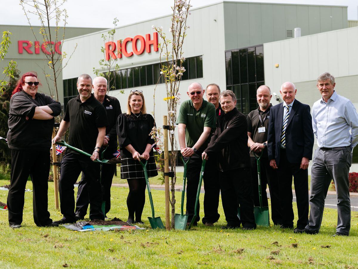Workers at Ricoh in Telford planting trees as part of the Queen's Green Canopy