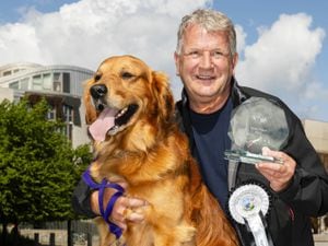 Holyrood dog of the year Buster, the golden retriever, with David Torrance MSP