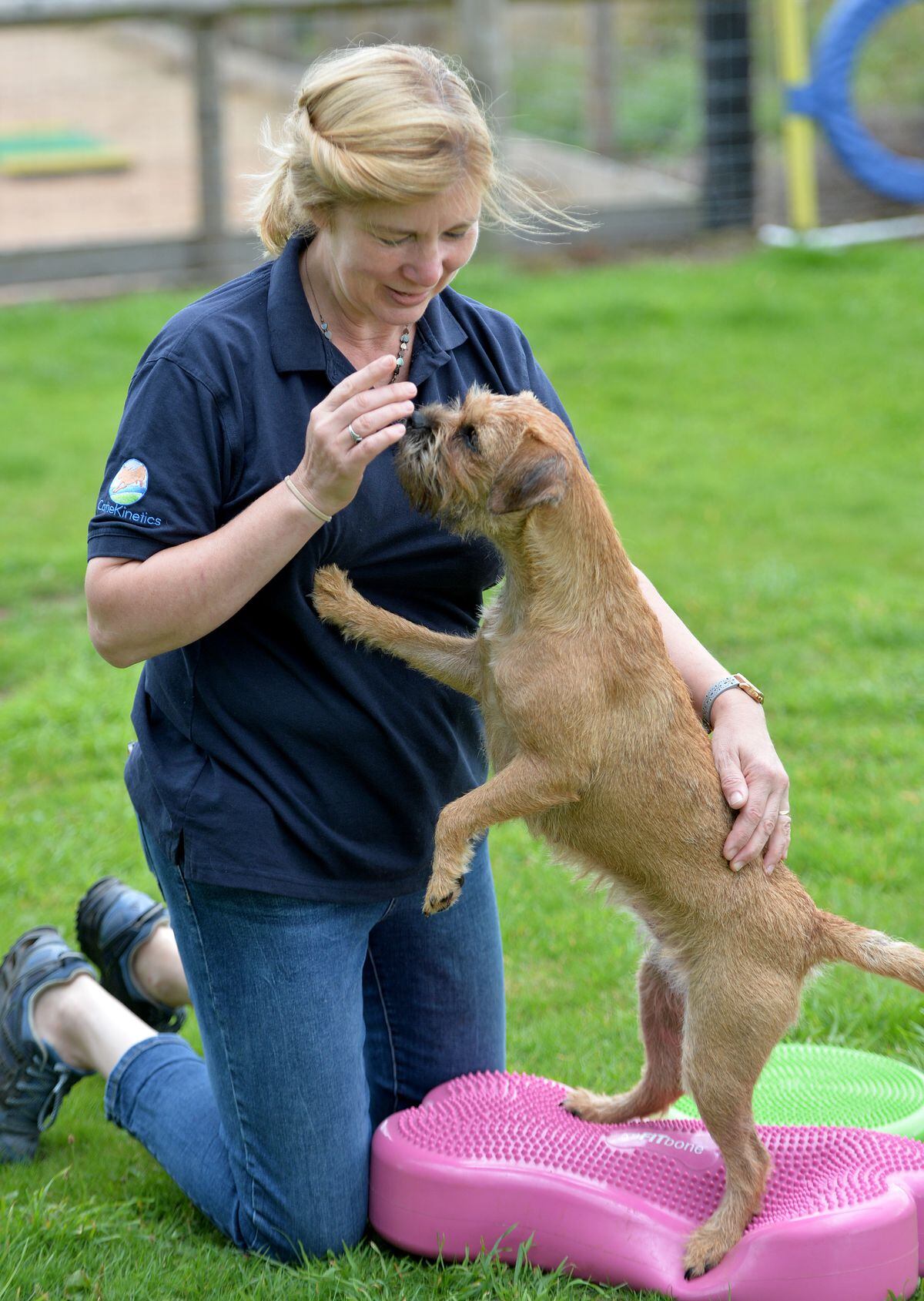 Heel! Market Drayton dog trainer talks new canine career