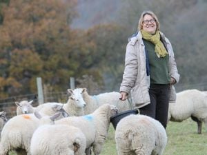 Livestock farmer Carol Griffiths 