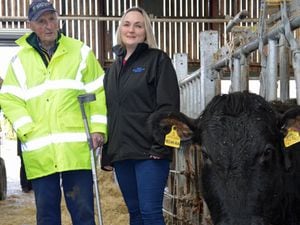 Emyr Wigley and his niece Laura Pritchard and one of his cows.