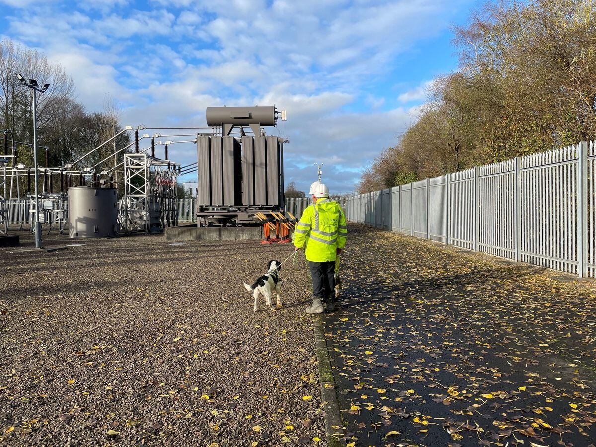 SPEN has been trialling the use of specially trained detection dog Jac, who is able to help identify faults on the power network deep underground. Photo: Scottish Power Energy Networks/PA Wire