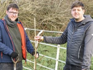 Luke and Adam plant the tree in memory of Karl Roberts