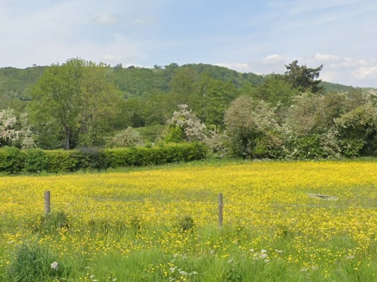 Land in Abermule where 53 homes could be built. Photo: Google.