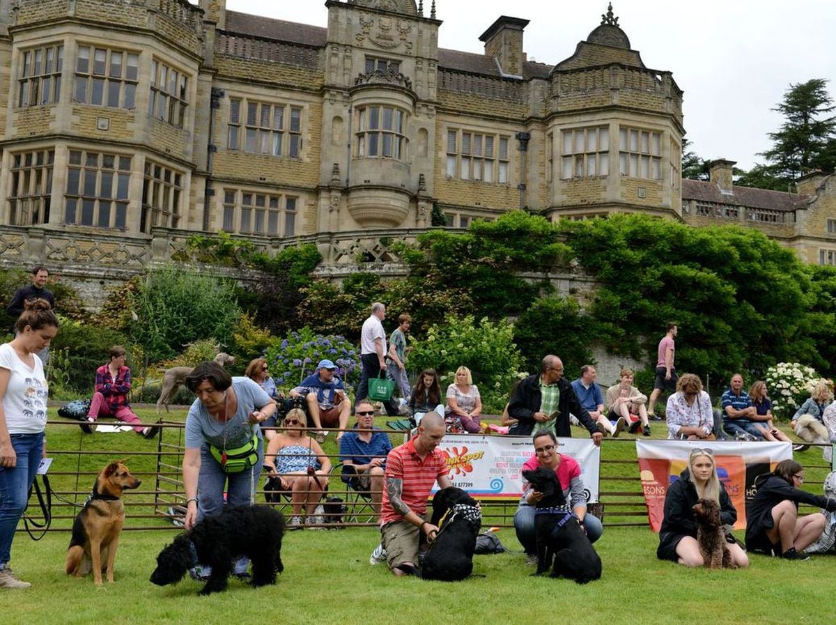 Ludlow Dog Day is back after being cancelled for two years in a row