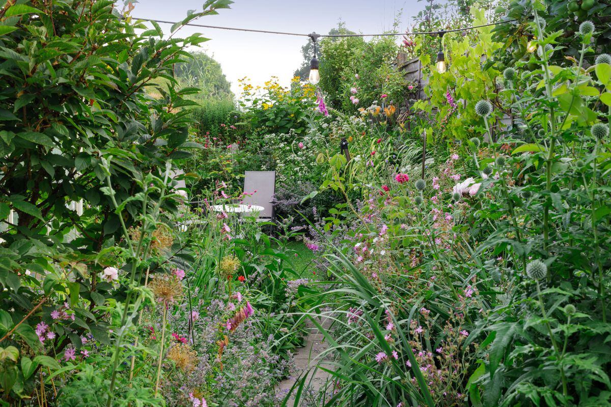 Couple John Butcher, 37 and Sarah Berry, 33, from Market Drayton are among eight households shortlisted in the BBC Gardeners’ World Award. Photo: Neil Hepworth