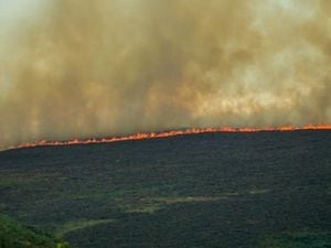 The fire on Llantysilio mountain. photo: Emma Howe