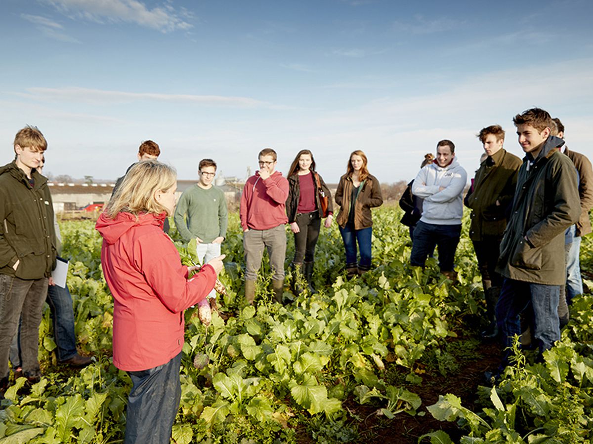 The school's courses will include undergraduate courses to train new sustainable farmers and short courses and apprenticeships to upskill the current farming workforce