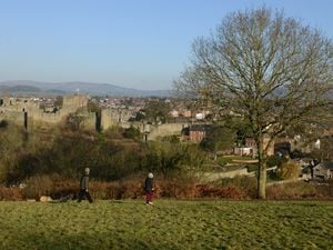 The view of Ludlow from Whitcliffe Common 