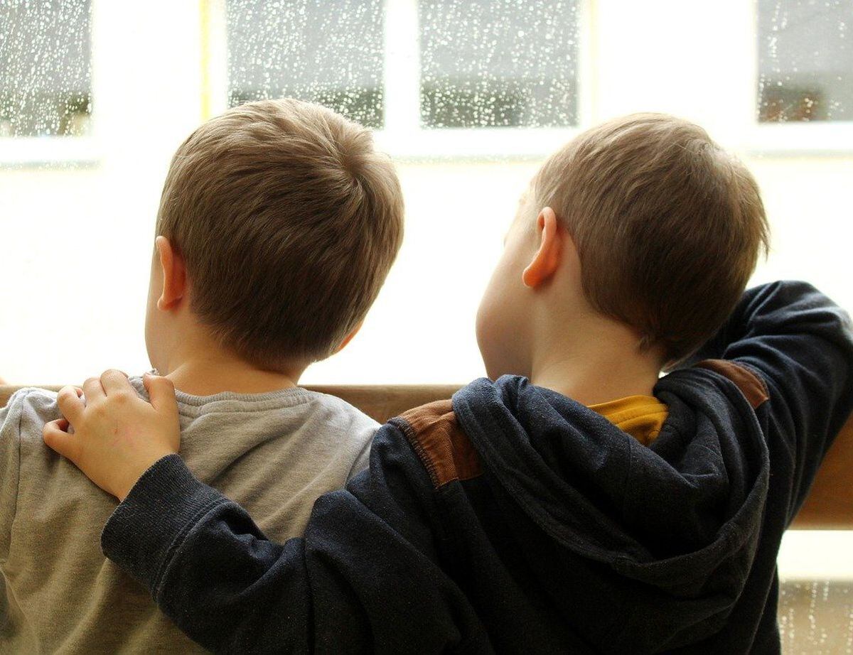 Shropshire Fostering children in the window