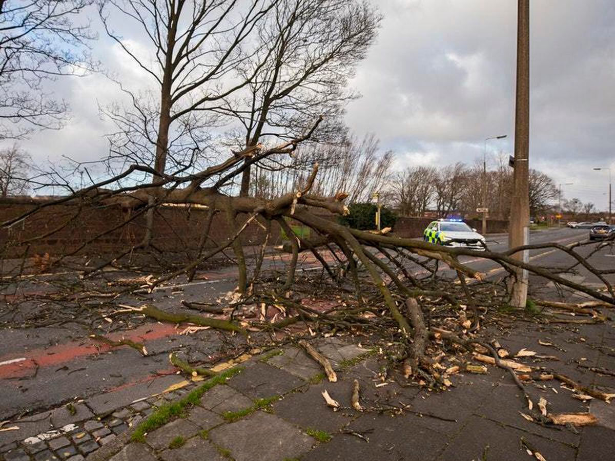 Storm Freya to bring strong winds after February’s record-breaking ...