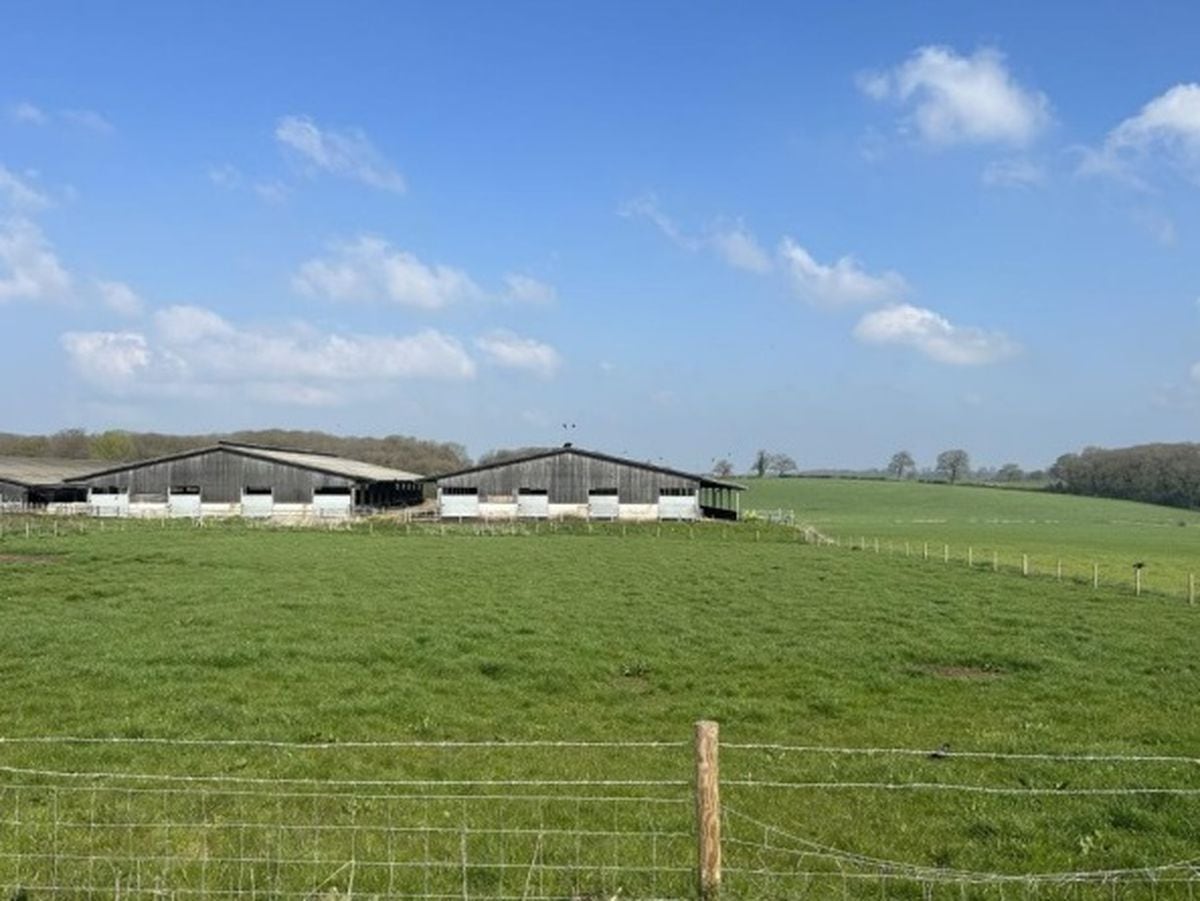 Milking parlour plans submitted to avoid 'catastrophic breakdown' 