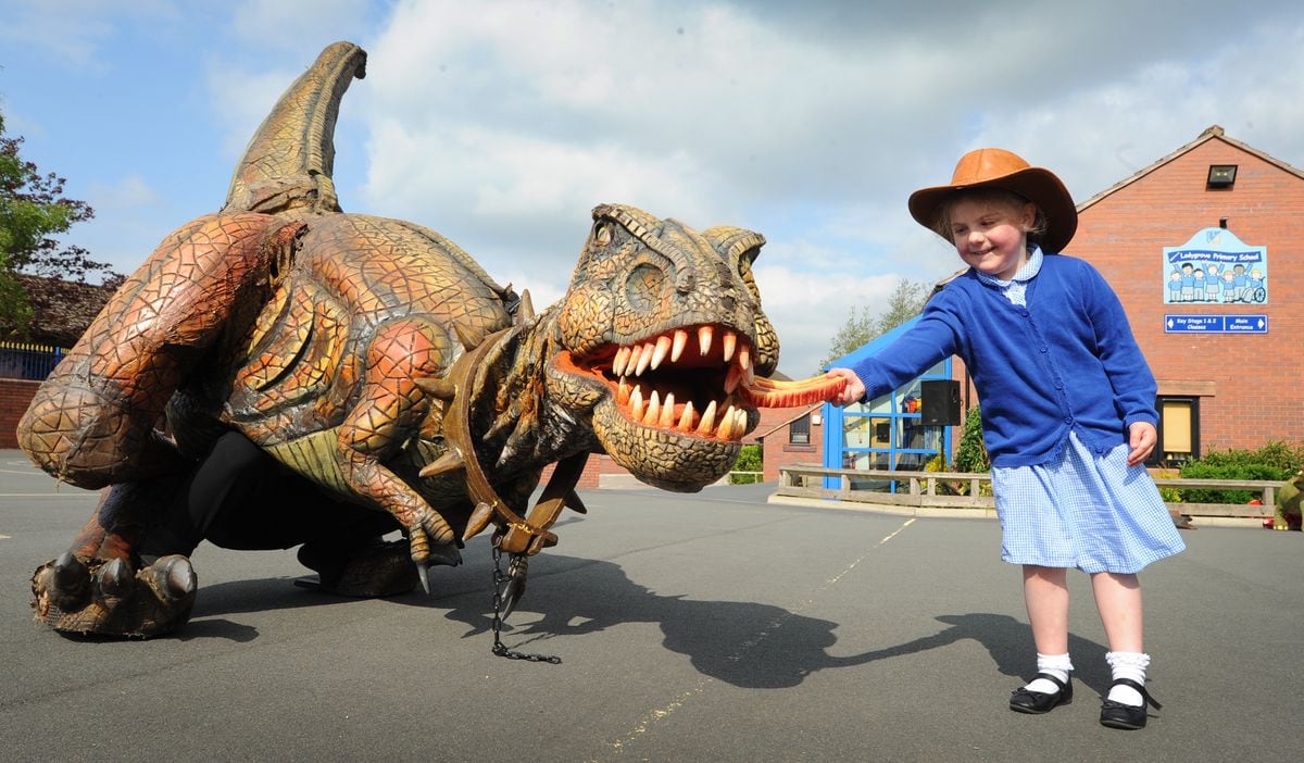 Feeding a dinosaur in the playground is Lucy Henderson, aged five, at Ladygrove Primary School