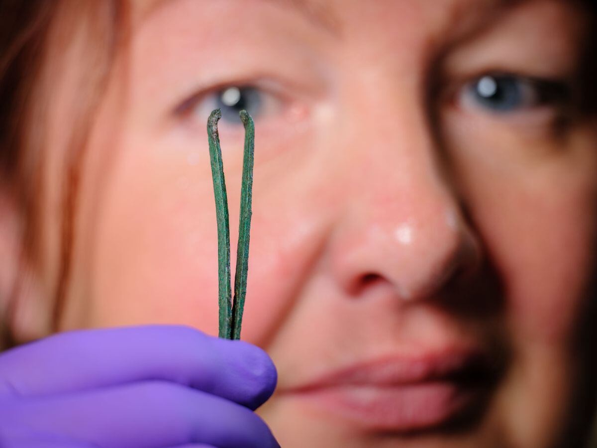 A conservationist at Wroxeter Roman City examines a pair of tweezers used to remove armpit hair from Roman men and women