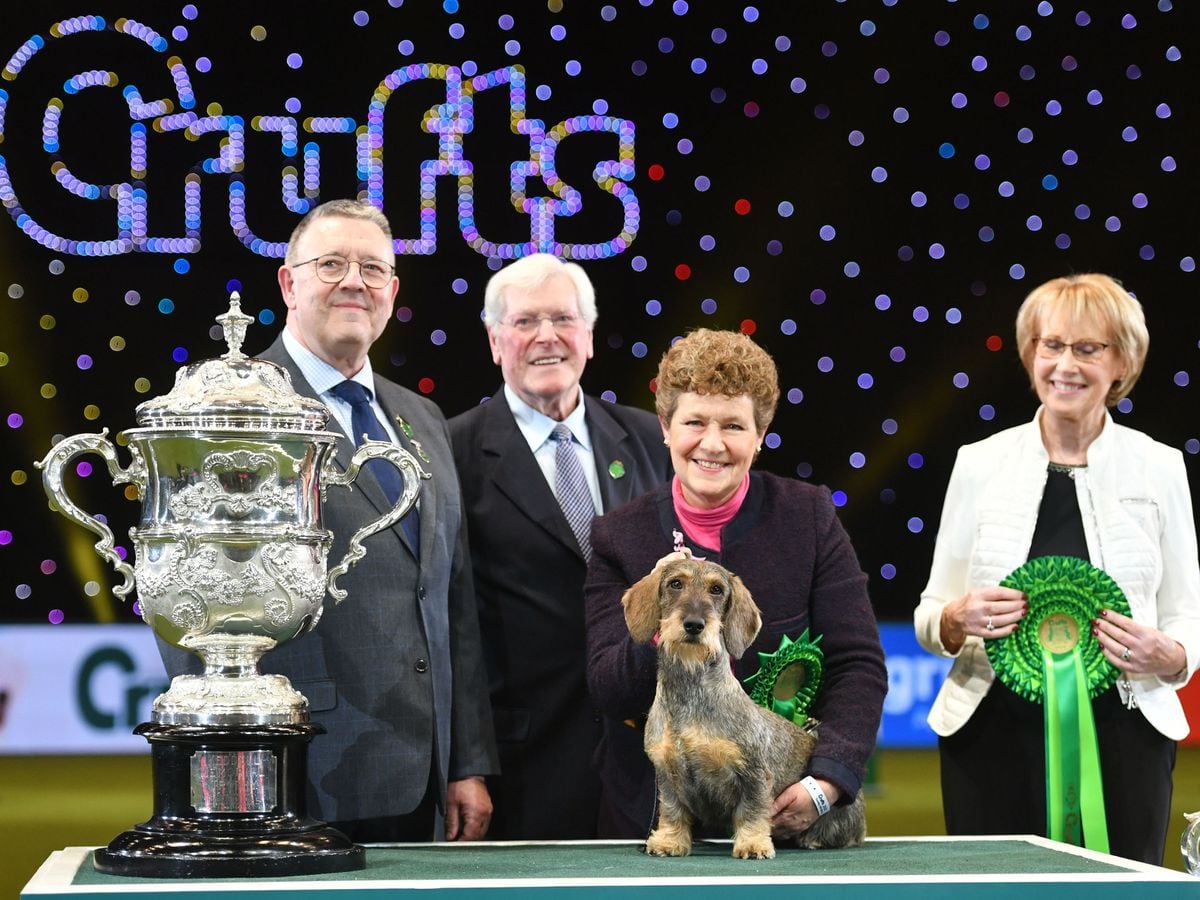 New date arranged for Crufts 2021 Shropshire Star