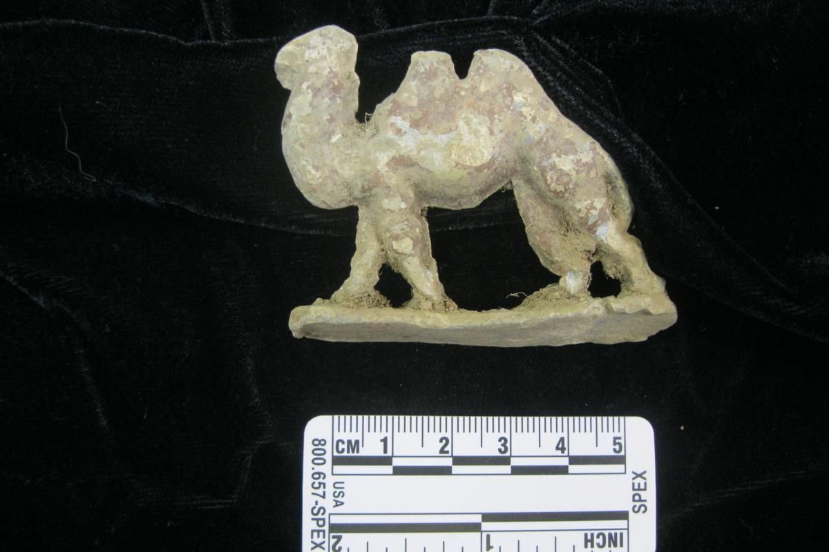 A toy camel was also found. Photo: Wessex Archaeology