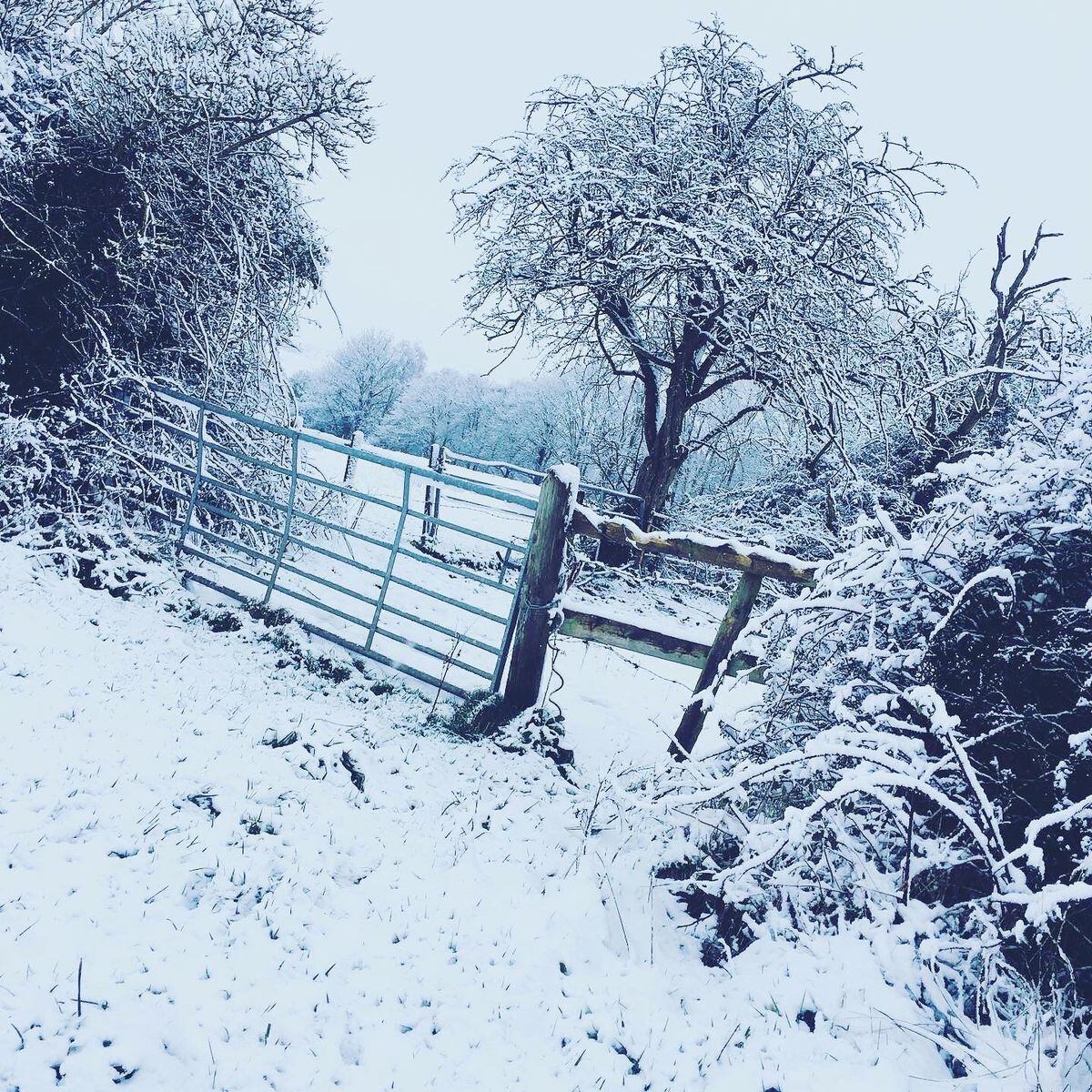 Snow in Shareshill and Little Saredon taken by Karen Hilditch