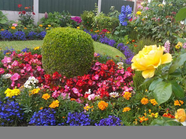 Shrewsbury in Bloom is holding its Town of Flowers contest again