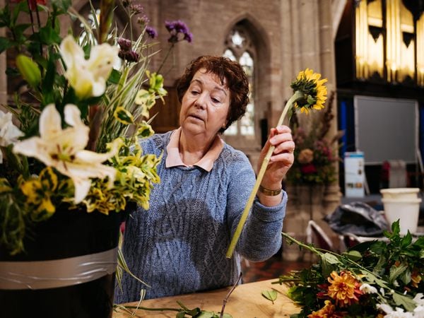 St Laurence Church Ludlow are setting up for their Harvest Festival with flowers and food which will then be donated to the Ludlow Food Bank and Hands Together Ludlow. In Picture: Christine Hubbard preparing flowers.