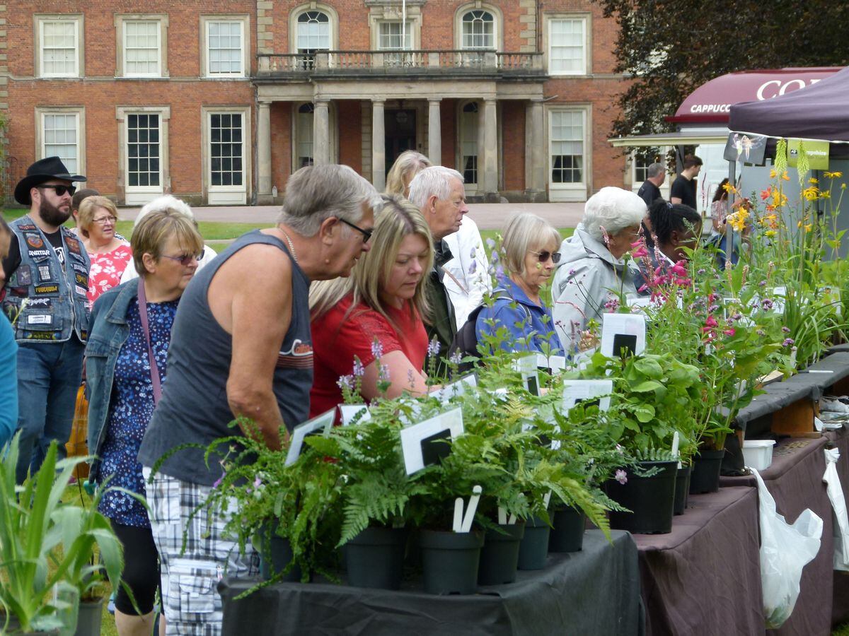 The Weston Park Plant Hunters’ Fair will take place on September 11