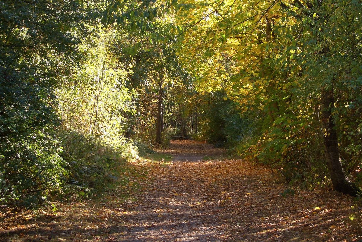 Stanmore Country Park