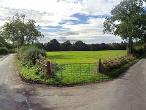 A field in Howle. Photo: Google