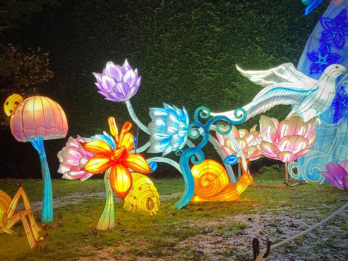 Une petite partie du Festival des lanternes, qui contribue à créer une ambiance festive dans le parc (Photo : Mark Morris)