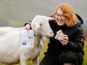SOUTH COPYRIGHT SHROPSHIRE STAR JAMIE RICKETTS 20/11/2020 - Farmer Jade Rhodes has been bombarded with order for her goat milk soap after appearing on Countryfile. She started making it to help with her psoriasis. Pictured here with one of her goats, Gwen..