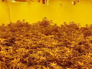 The cannabis farm in a house in Leegomery. Pic: @TelfordCops