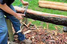 Preparing timber for our new woodland shelter