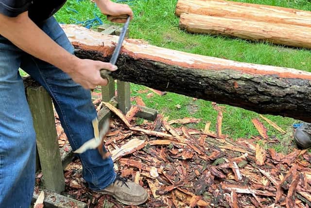 Preparing timber for our new woodland shelter
