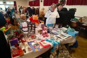 Terri - raising money for cats.