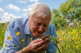 Sir David Attenborough turns 100 on May 8.