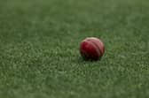 Cricket