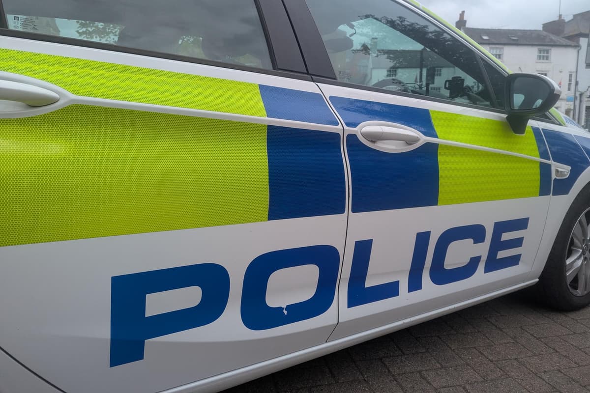 Woman in pyjama bottoms sought after dog-on-dog attack near Telford lake