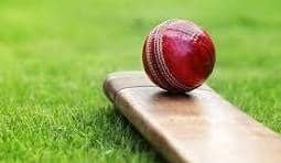 Cricket stock picture
